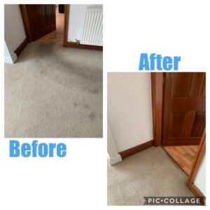 Carpet Cleaners Chester
