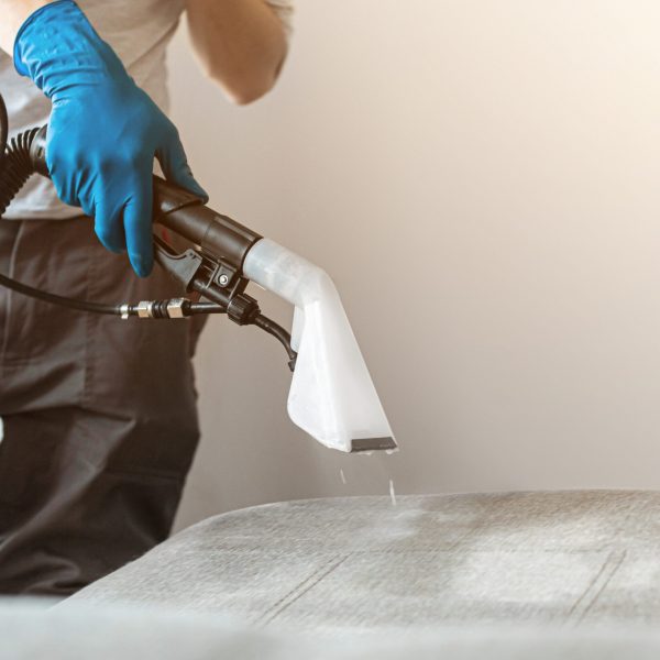 Man dry cleaner's employee hand in protective rubber glove cleaning sofa with professionally extraction method. Early spring regular cleanup. Commercial cleaning company concept.